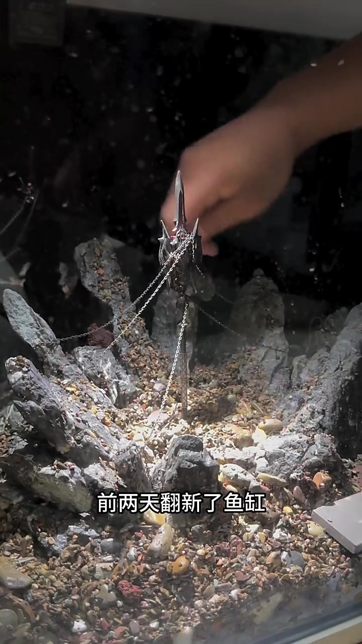 你们要的方天画戟鱼缸造景流程来了