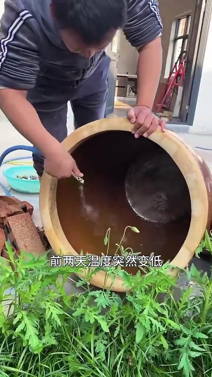 鱼缸的鱼都挂了,有谁能说说是哪里的问题呢