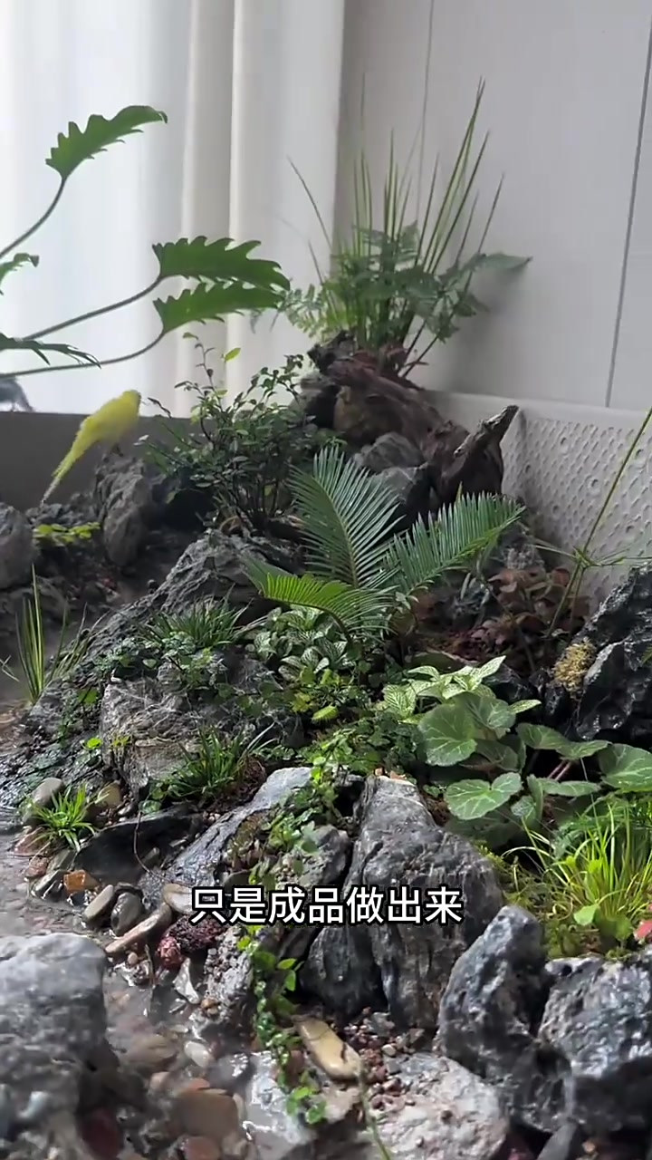 来了,你们要的的水陆缸过程来了