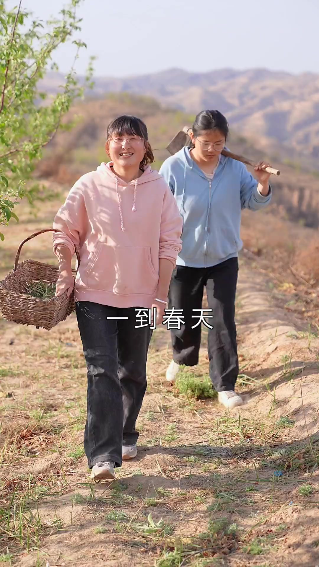 去山里挖野生苦菜调凉菜吃