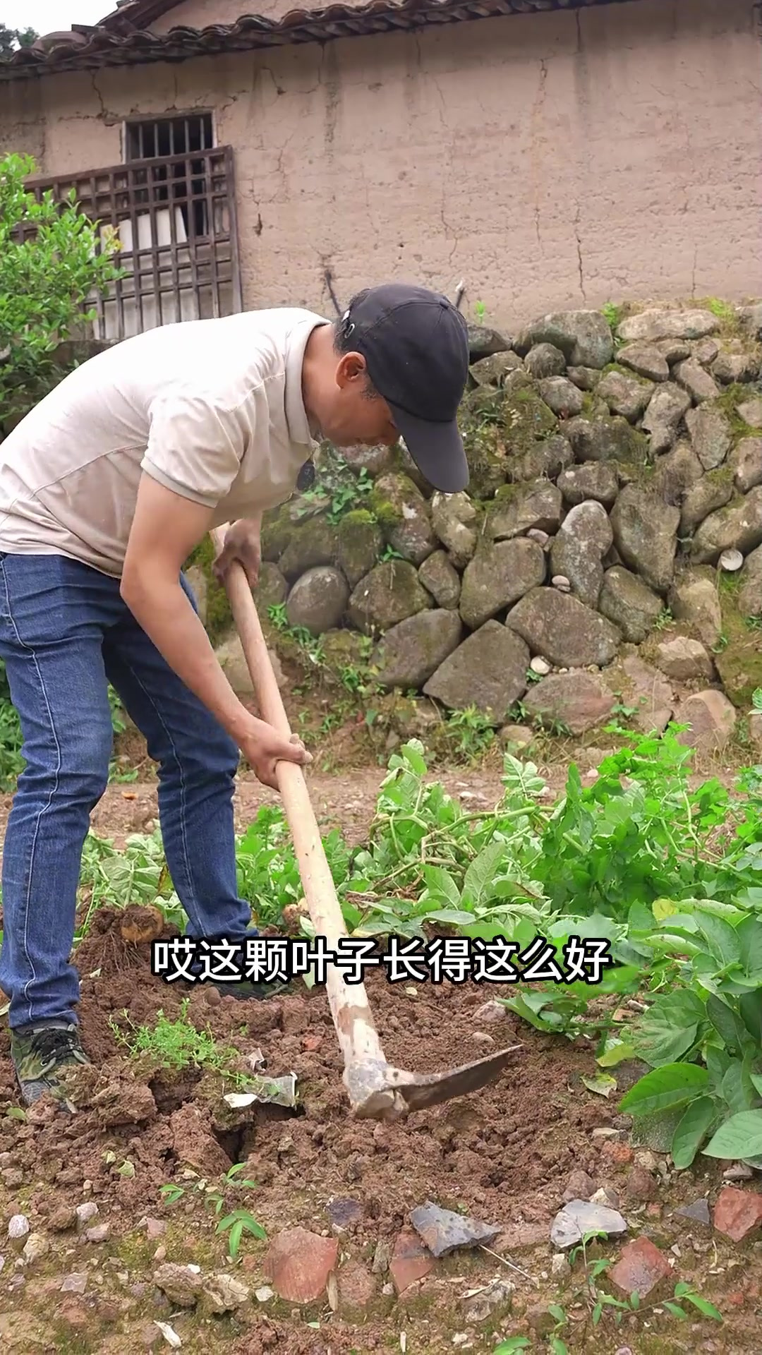 鸡蛋肉饼汤,和拌粉一起吃解腻又美味,味道真的好好啊