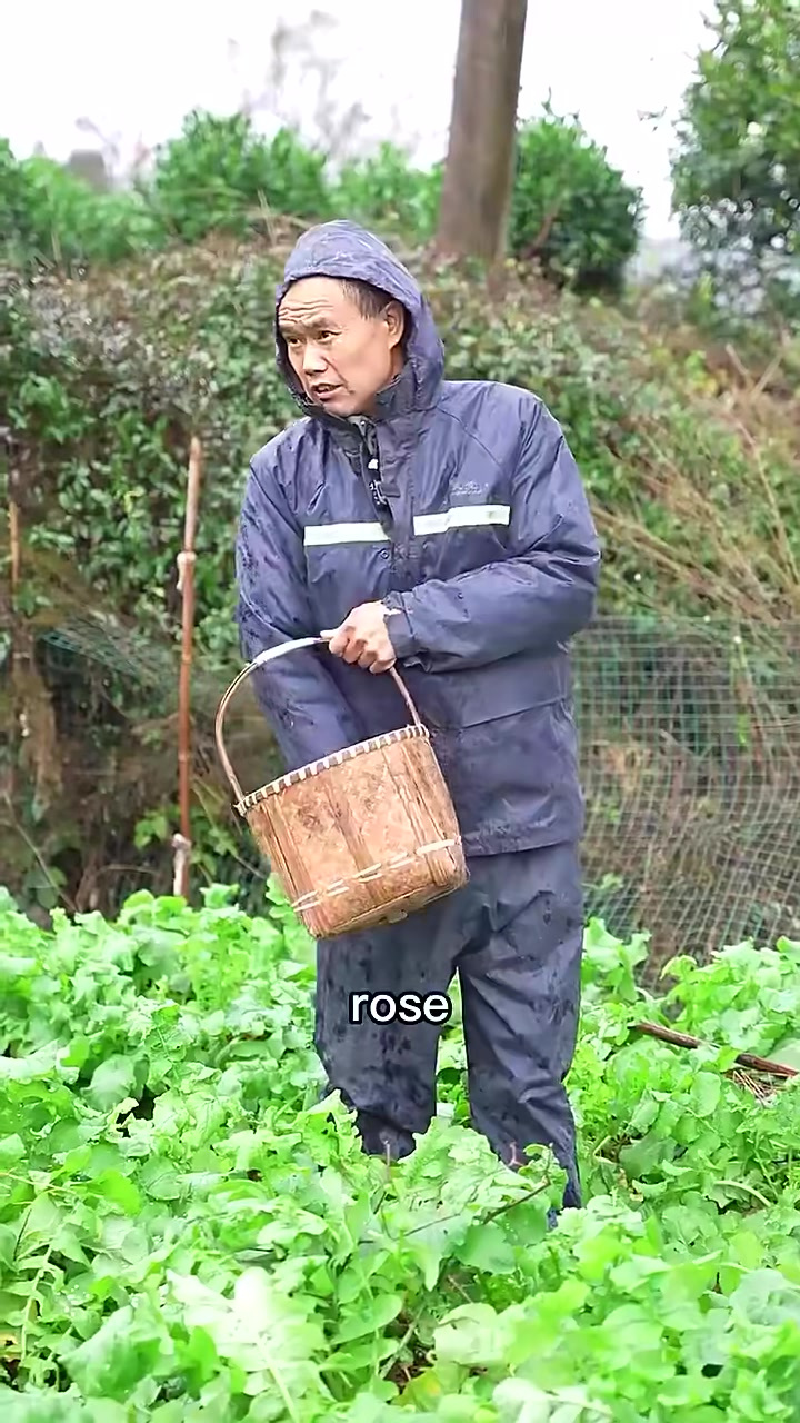 今天又给安仔包馄饨啦,做点不一样的油炸抄手尝尝鲜!