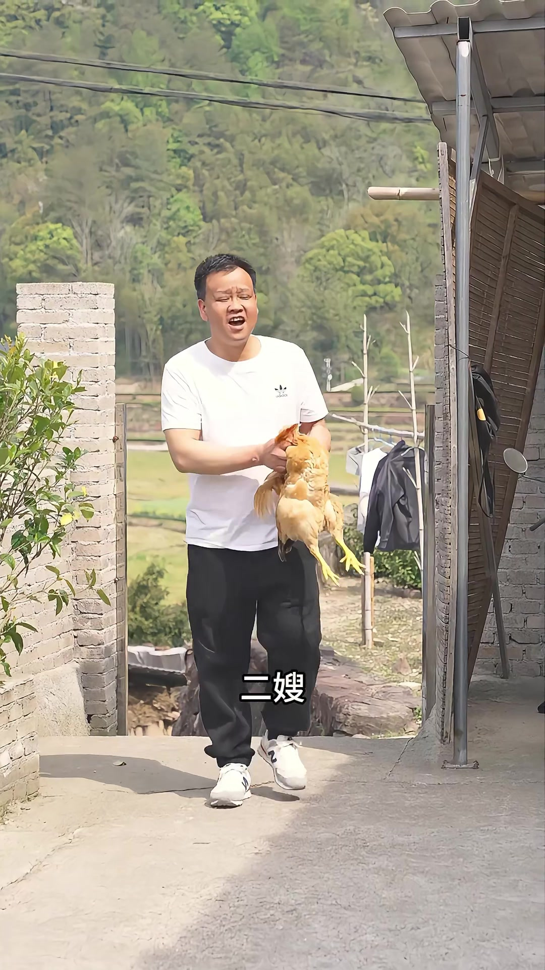 今天有口福咯，老三抓了只鸡回来，烧了一锅满满当当的地锅鸡