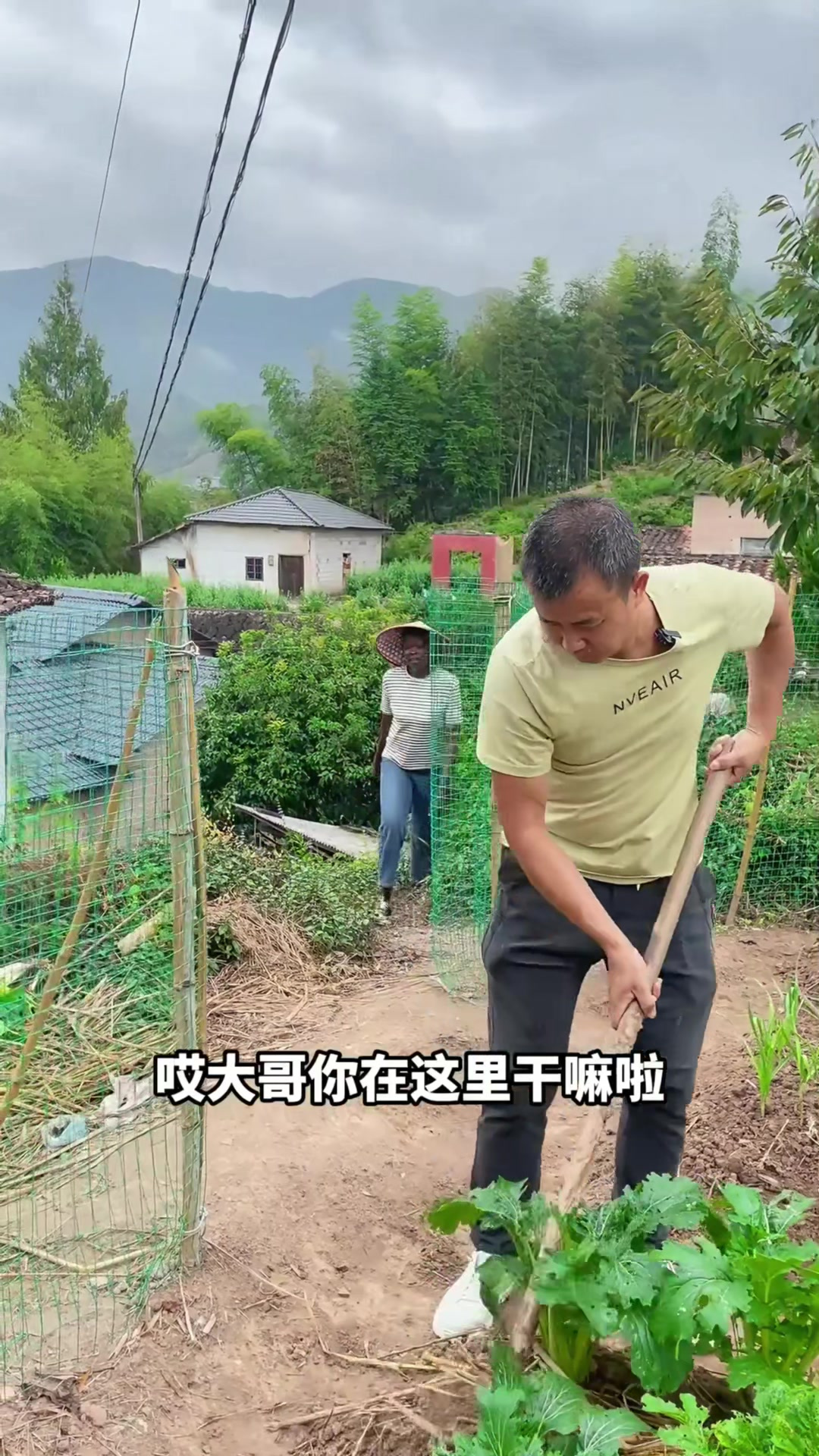 在家做个暖暖的青菜肉丸汤,营养又美味