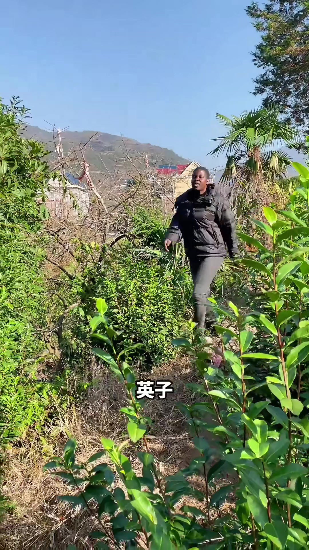 煮个贵州名菜凯里酸汤鱼，酸汤浓郁鱼肉嫩滑真是绝了