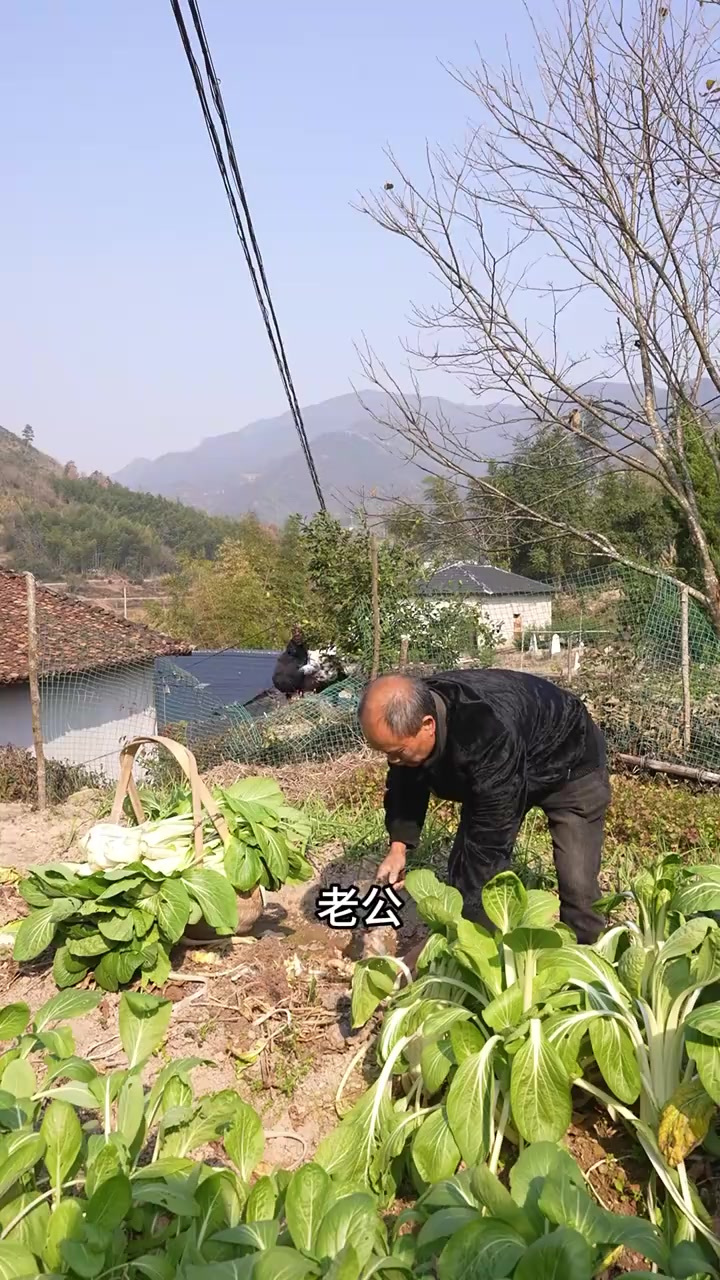 白菜到咸香四溢的梅干菜，经历了三蒸三晒的工序蕴含着时间的风味