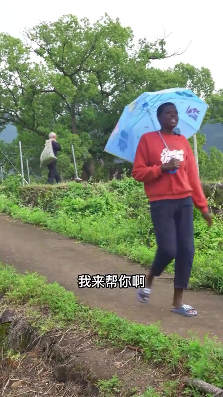 大球盖菇炖出来的乌骨鸡汤，鲜美的很！鸡汤甘甜滋补好香啊