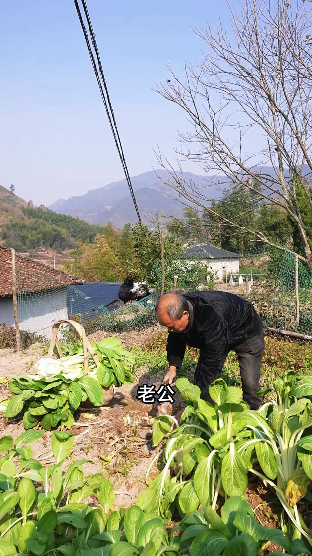 我感觉这梅干菜，也是很好的一道菜