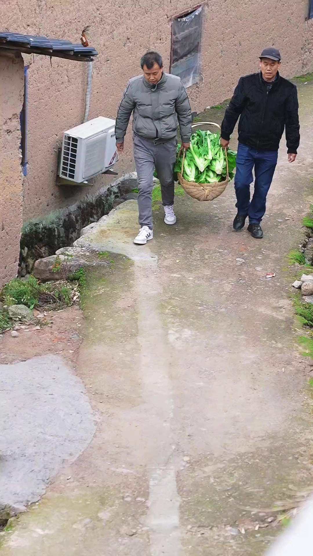 芥菜虽普通，但经过三蒸三晒的工艺后，便是美味可口的梅干菜