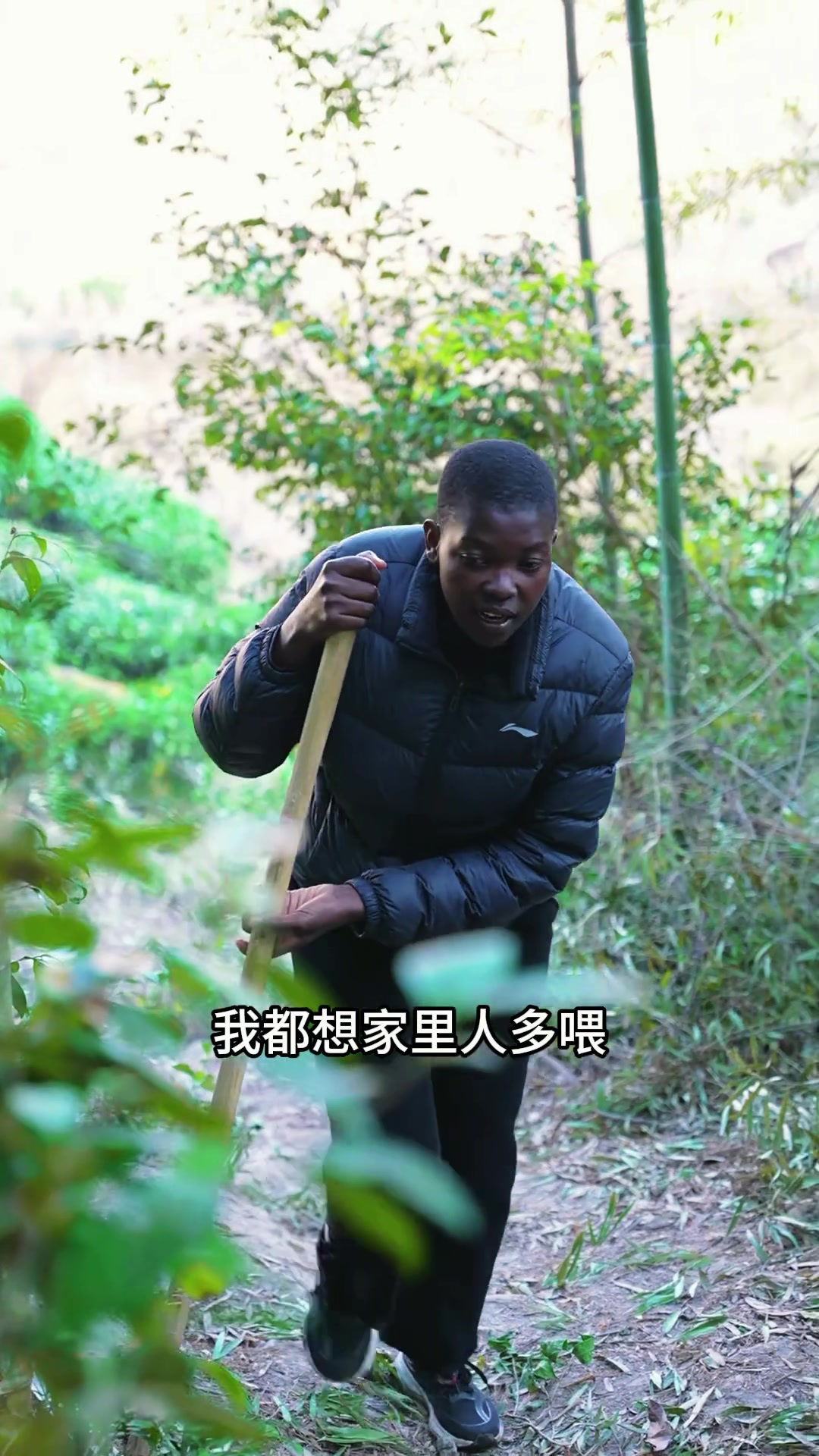 又到农村吃冬笋的时候!今天和老公上山挖冬笋炖了一锅排骨冬笋锅