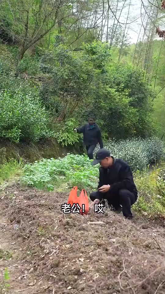 麻辣香锅爽口香脆,可以放各种蔬菜,营养又好吃