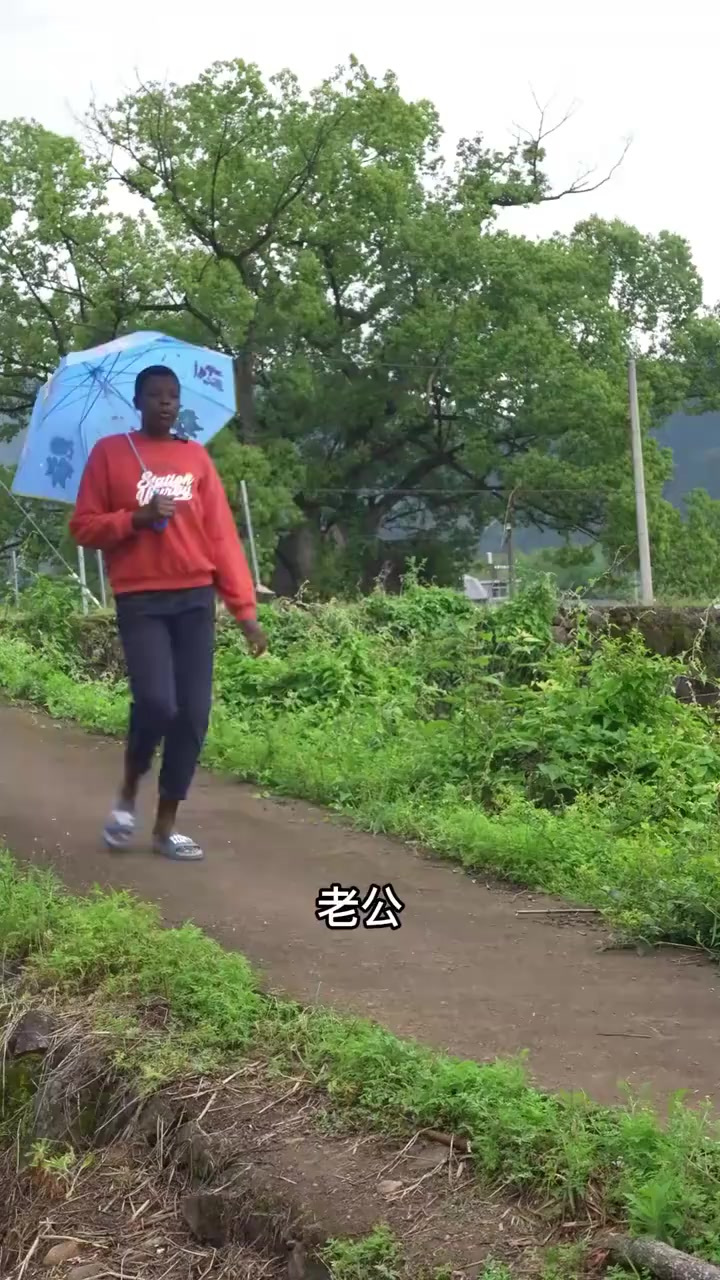 大球盖菇炖出来的乌骨鸡汤，鲜美的很！鸡汤甘甜滋补好香啊