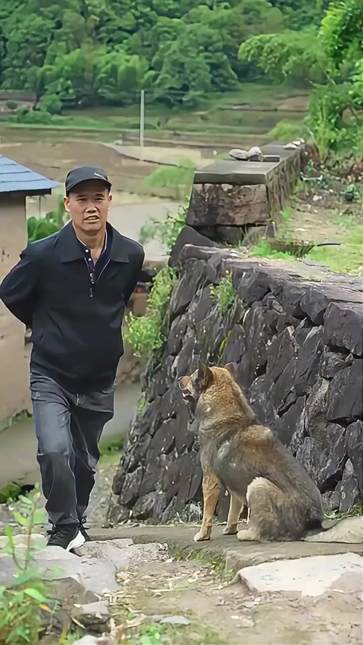 肉松小贝松松软软，还会爆酱，肉松也是香酥脆咸有营养