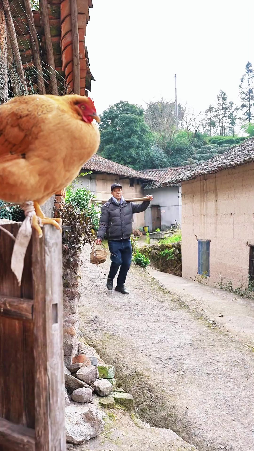 难得有草莓蛋糕吃，那就许个愿吧祝大家往后永远平安喜乐