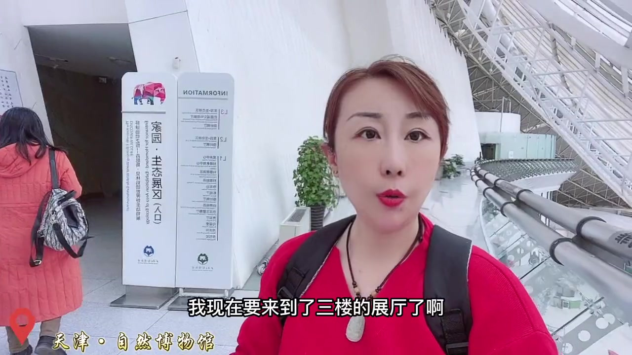 在自然博物馆里了解到很多恐龙知识