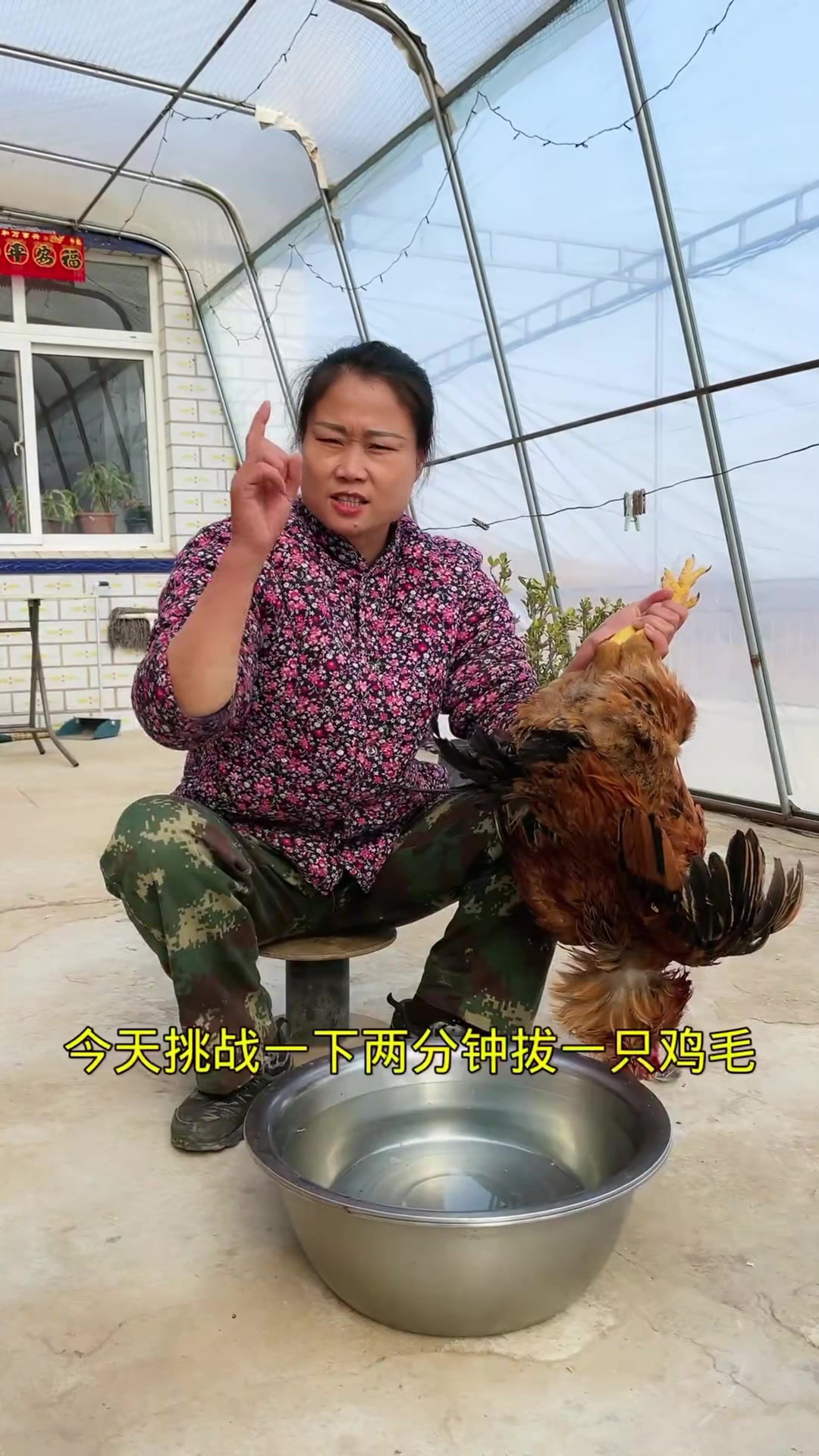 教你们个小妙招，如何快速给鸡脱毛，你学会了吗