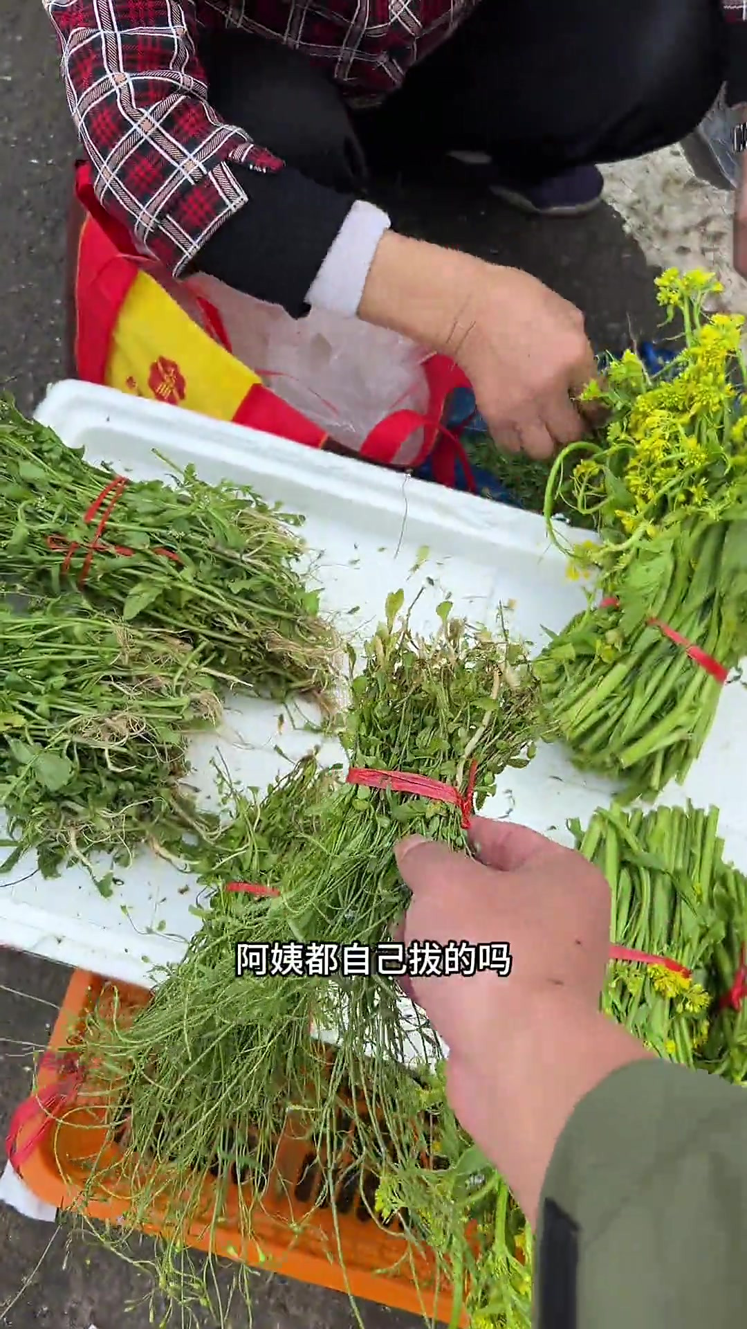来看看我们福建的早市都可以吃到哪些野菜