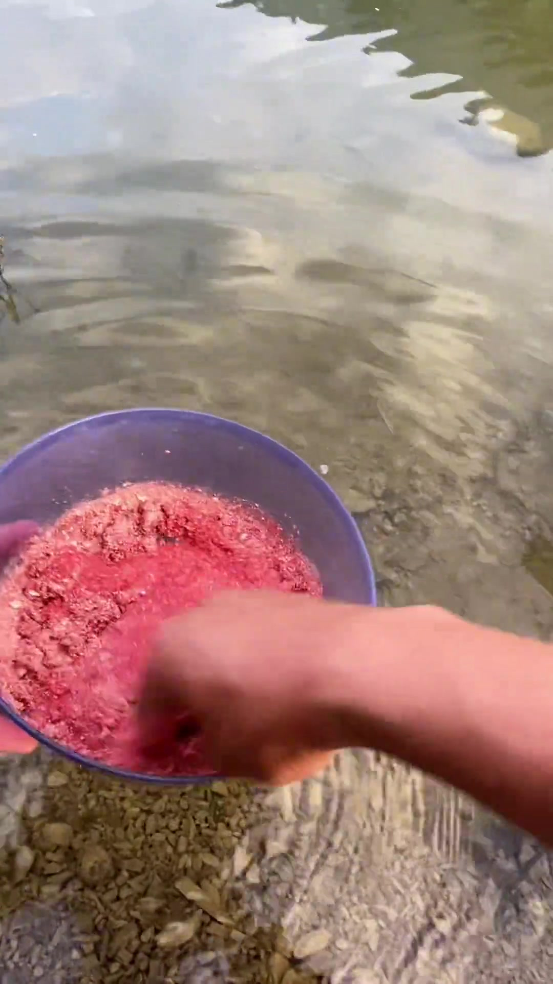 大钩粗线青鱼钓不到，那就小钩细线拉青尾