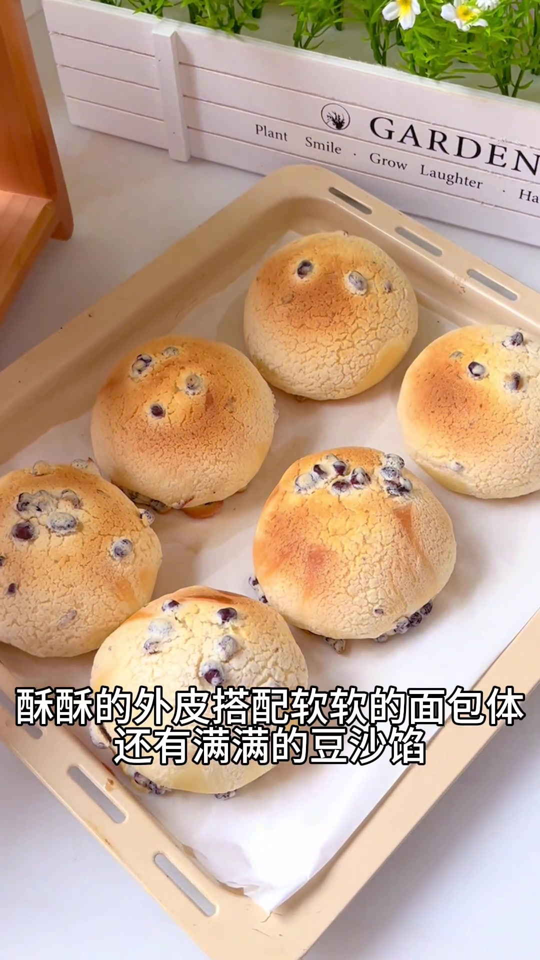 0基础新手必做经典红豆沙面包～配方可做6个豆沙包