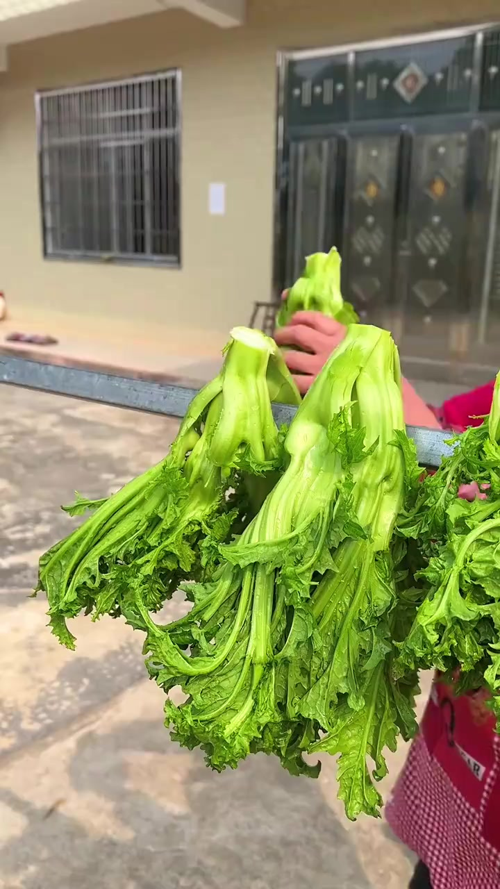 自己做的梅干菜,拿它来和五花肉一起这样做