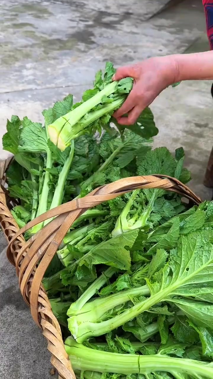 这个自制酸盐菜,酸酸的很开胃