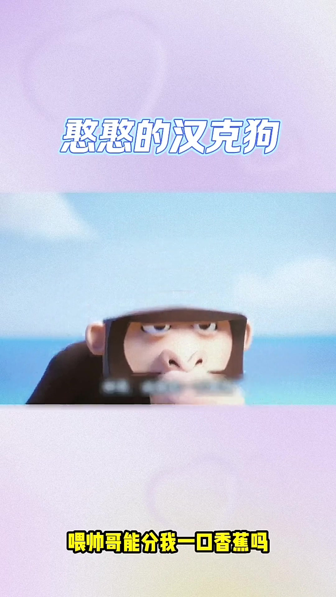 汤姆猫跑酷:憨憨的汉克狗,太好玩了