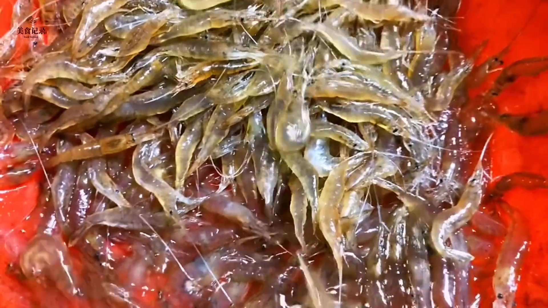 虾皮,不是虾的皮,是毛虾的肉