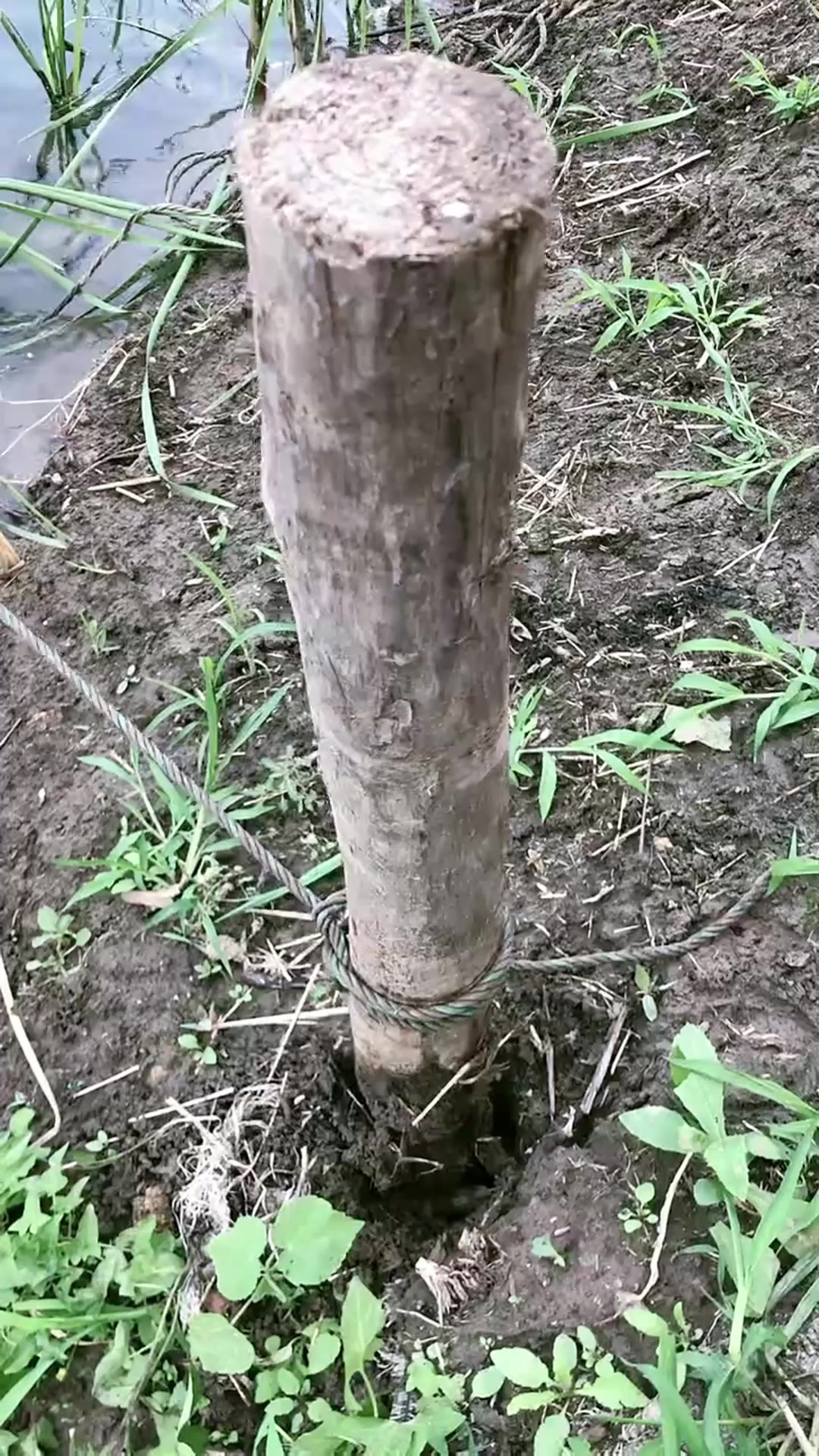 今天给鱼塘做个增氧机，我做得够不够好