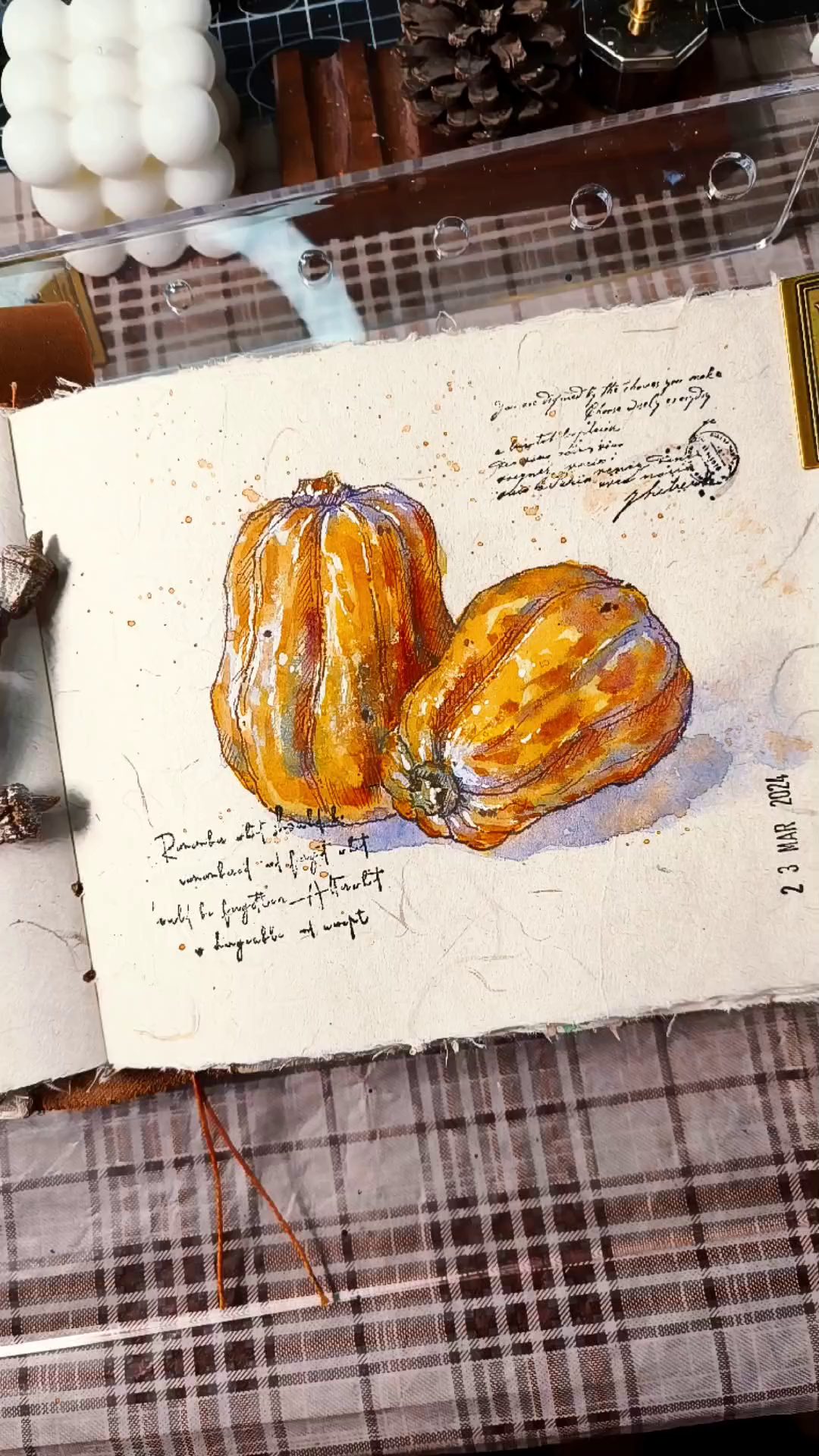 钢笔淡彩丨两个南瓜。特别适合做南瓜浓汤