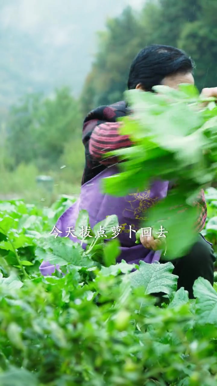 在家做上这样一锅五花肉炖萝卜,保证连汤汁都不剩
