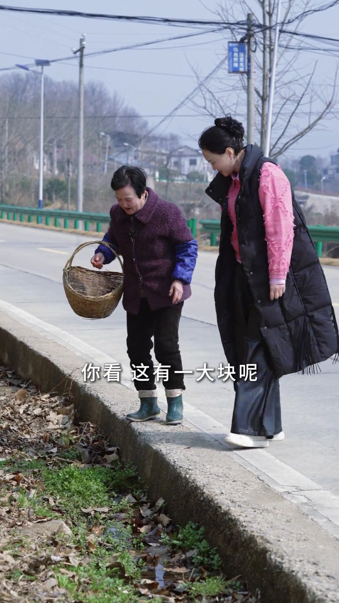春天到了,野生水芹菜长出来了,采点回来炒腊肉