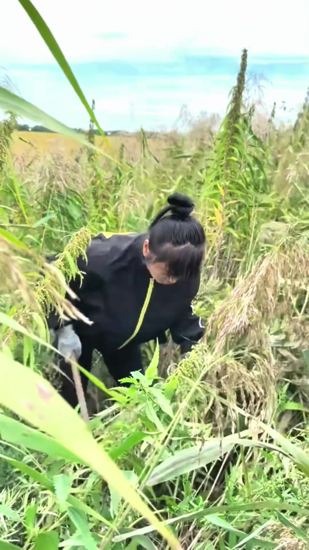 这大野生老头鱼就是香啊
