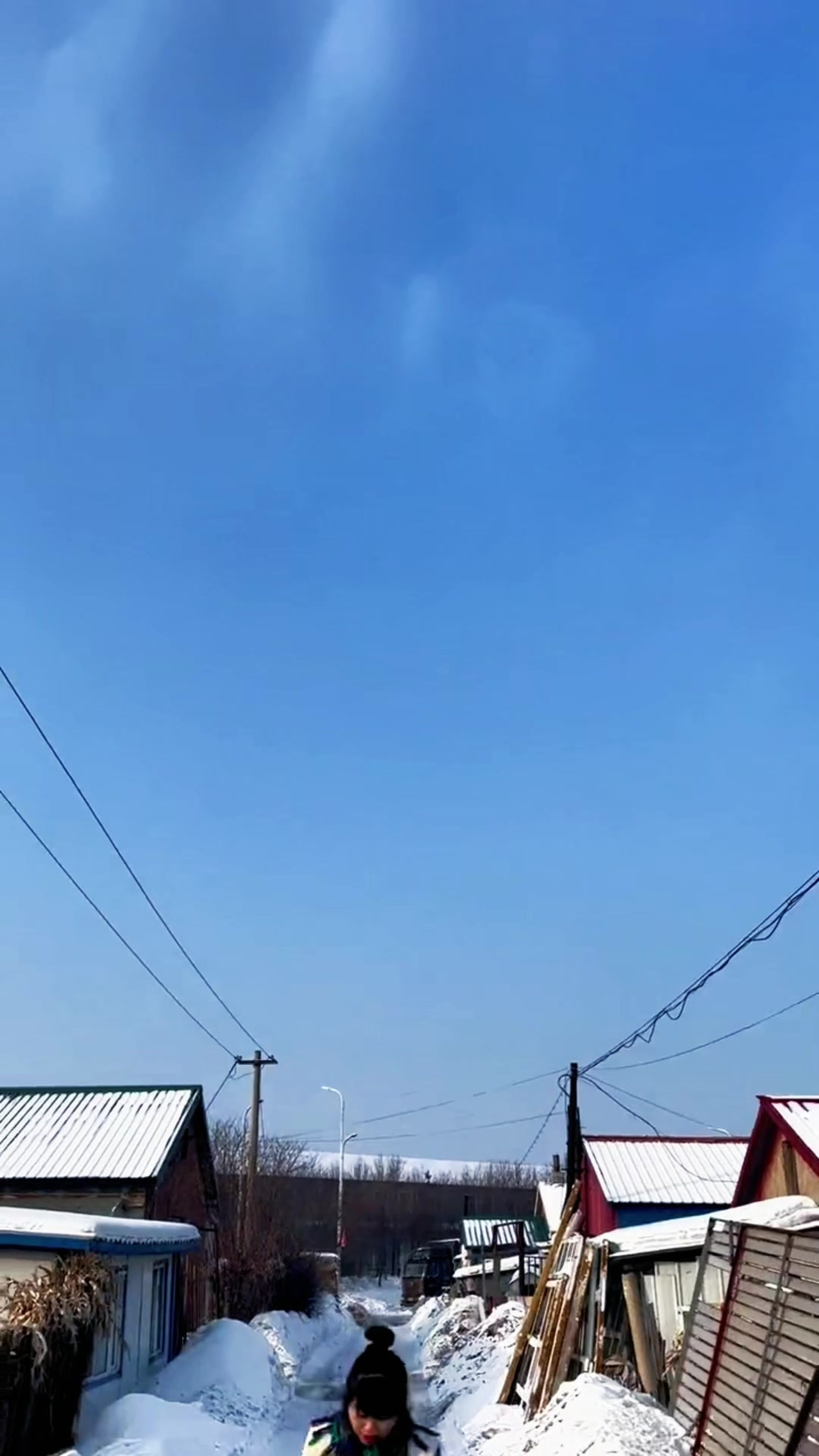 东北大锅炖,排骨炖干豆角