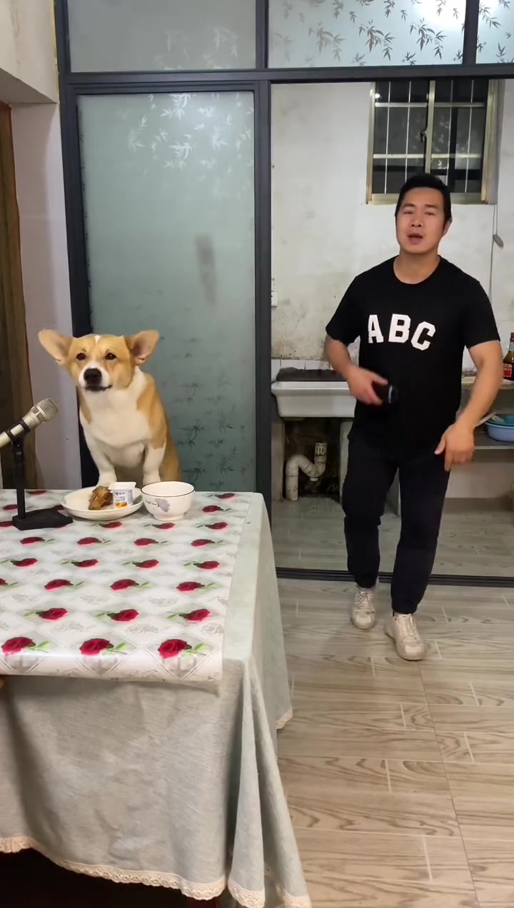 汤圆唱歌我跳舞,我们俩绝配