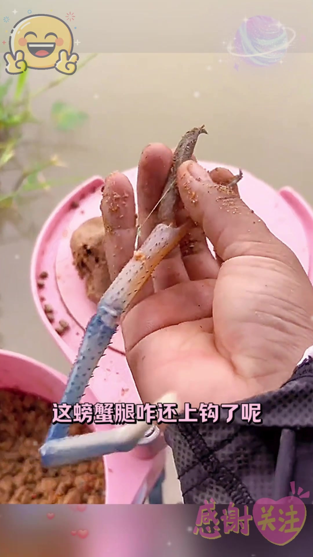 螃蟹腿也太大了吧