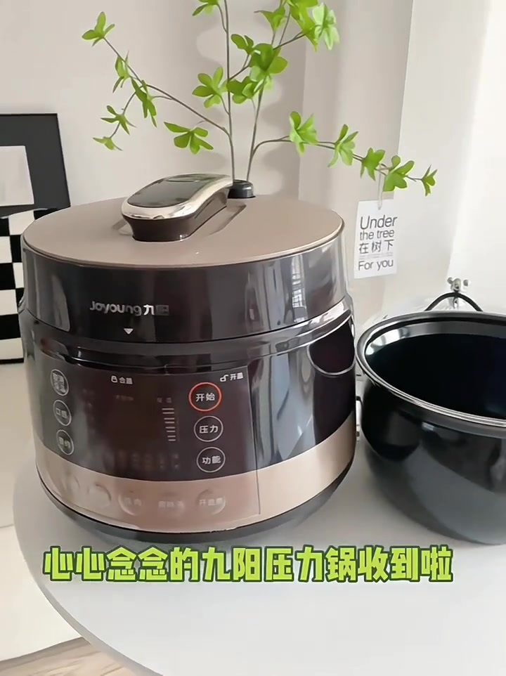 九阳6升双胆多功能电压力锅,家用智能预约高压锅