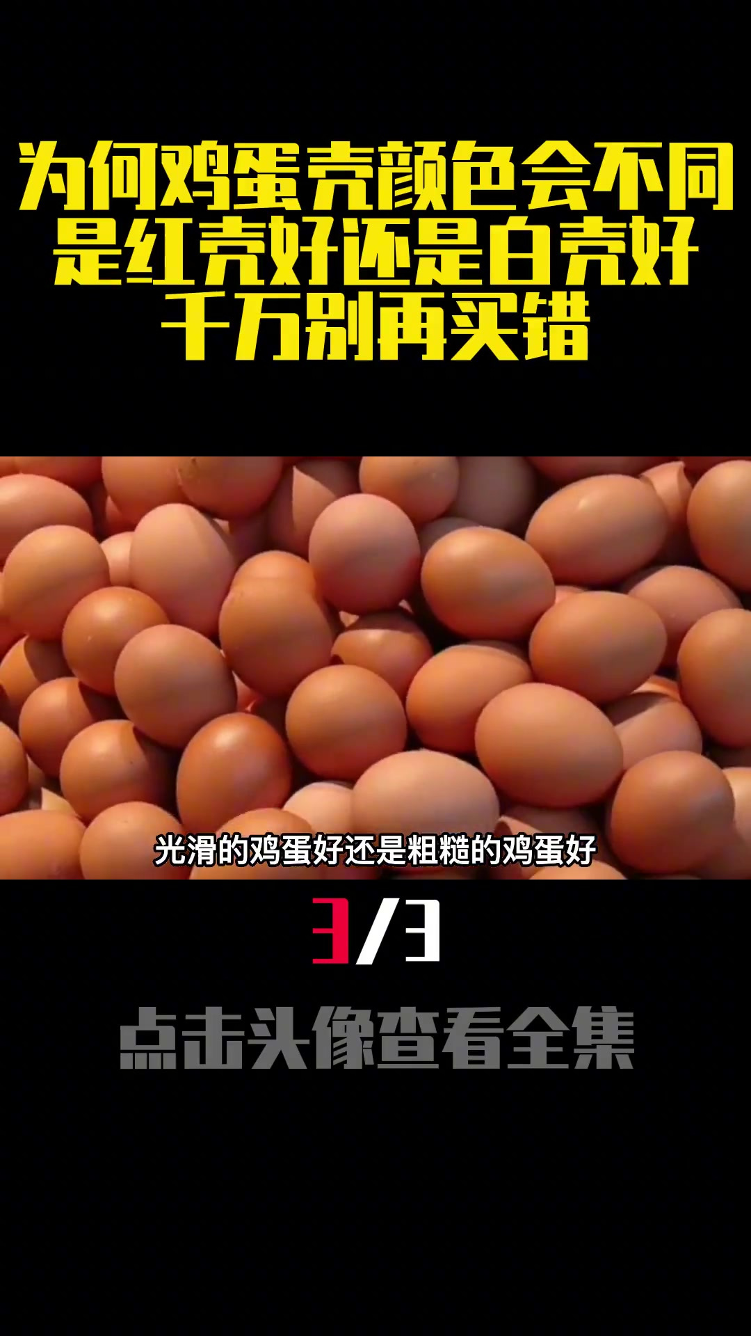 为何鸡蛋壳颜色会不同?是红壳好还是白壳好?千万别再买错(3)