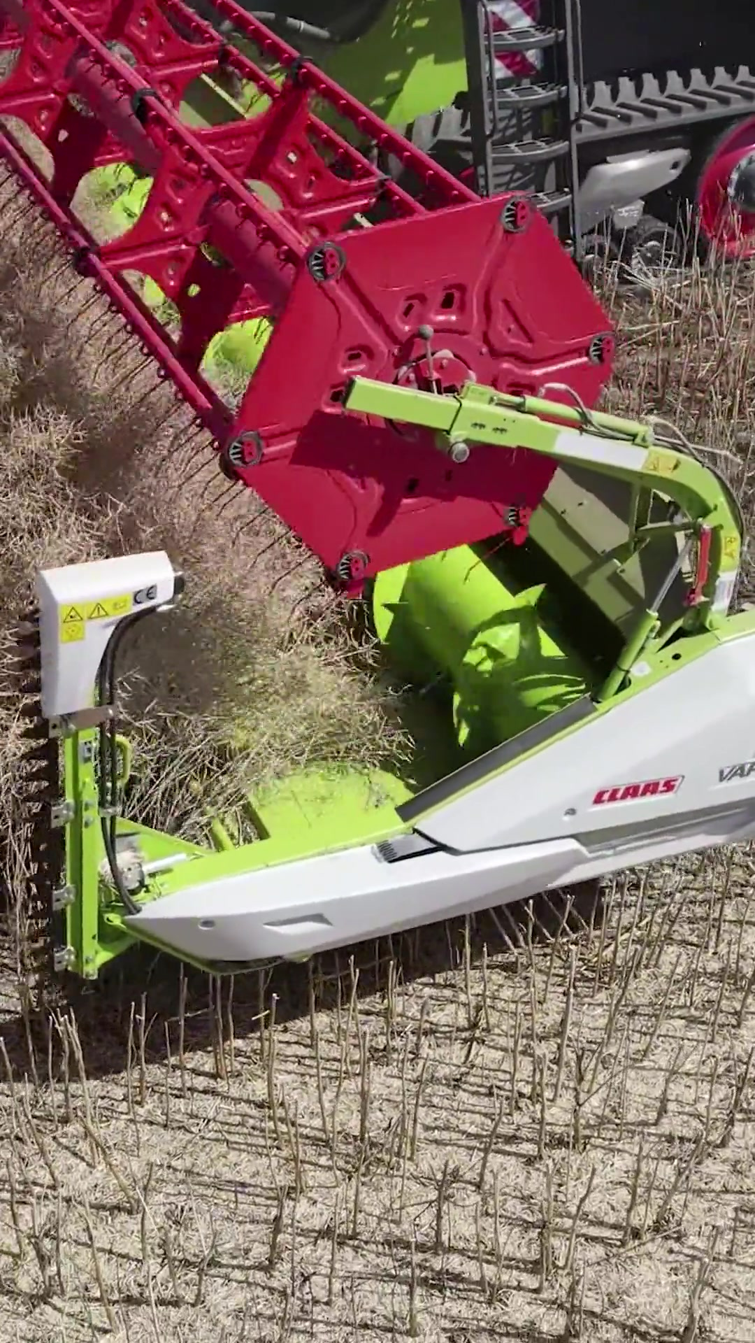 收割机胃口好不好另说,清选系统是真棒,干干净净,黑黑黝黝的油菜籽