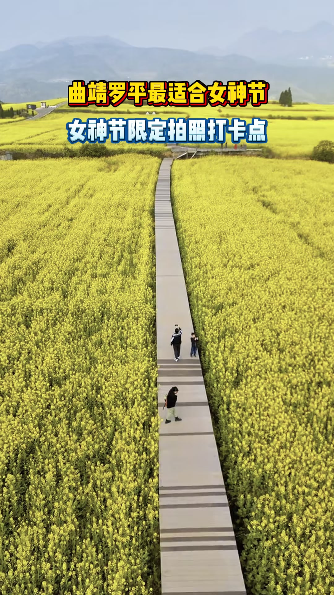 曲靖罗平最适合女神节打卡的油菜花海,不要门票还出片