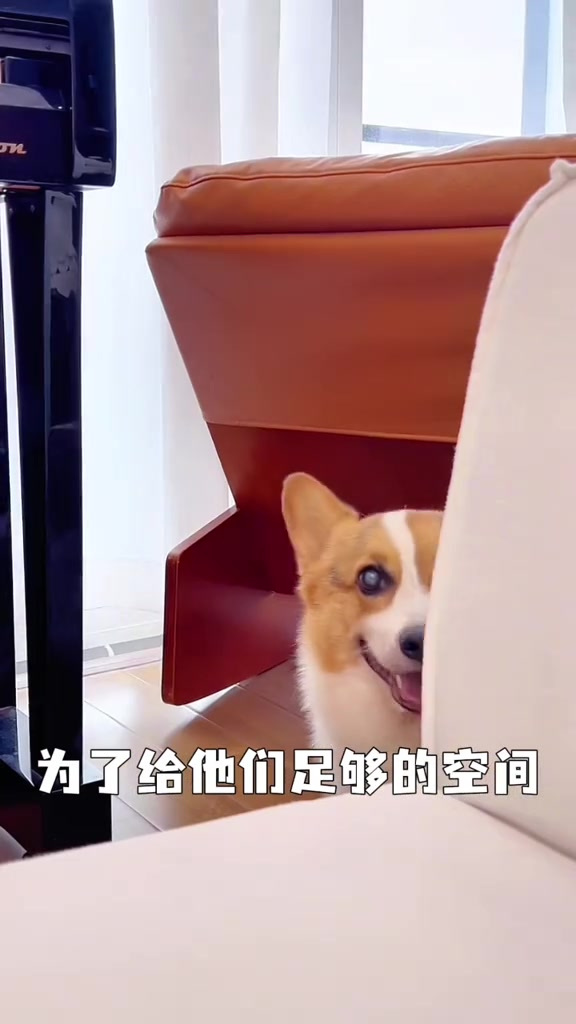 9我的宅家好搭子,壁纸电视治愈生活