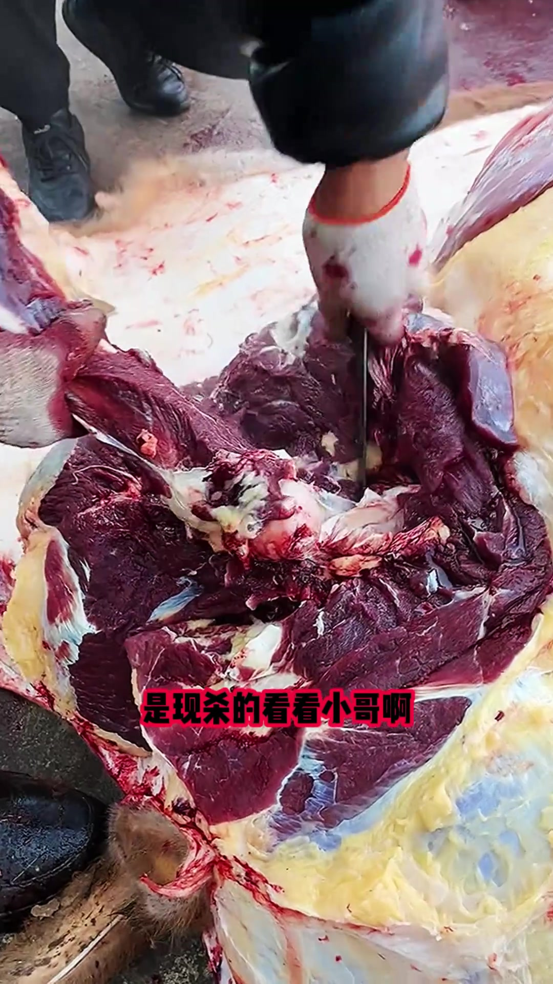 新鲜现杀牛肉分割现场,色泽鲜红令人垂涎