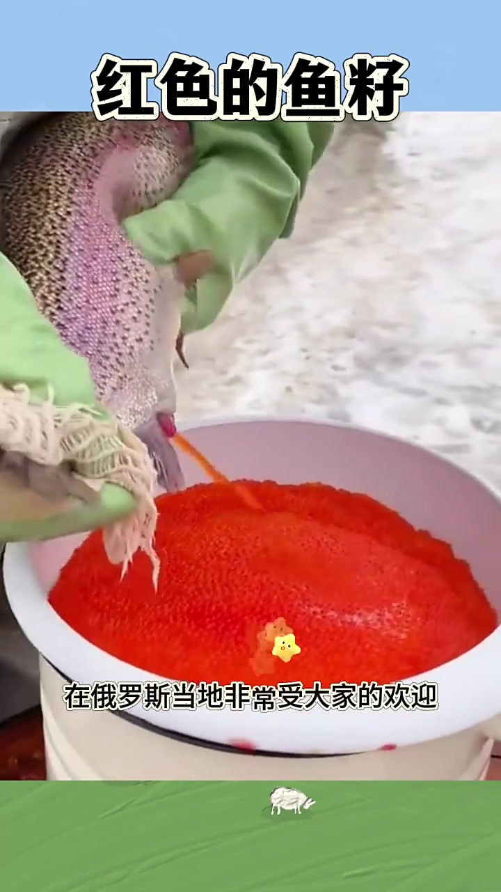 红色的鱼籽,更加的鲜美