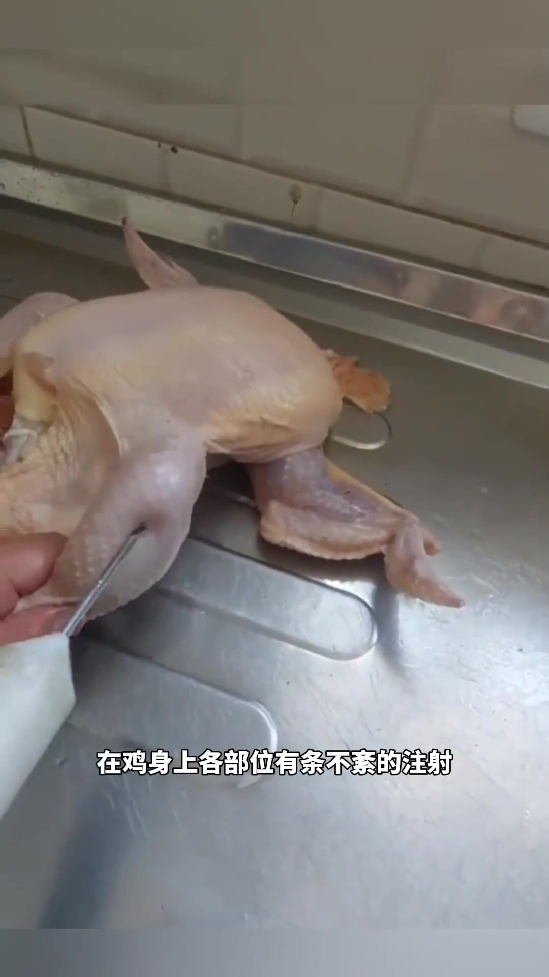 给鸡注射的究竟是什么