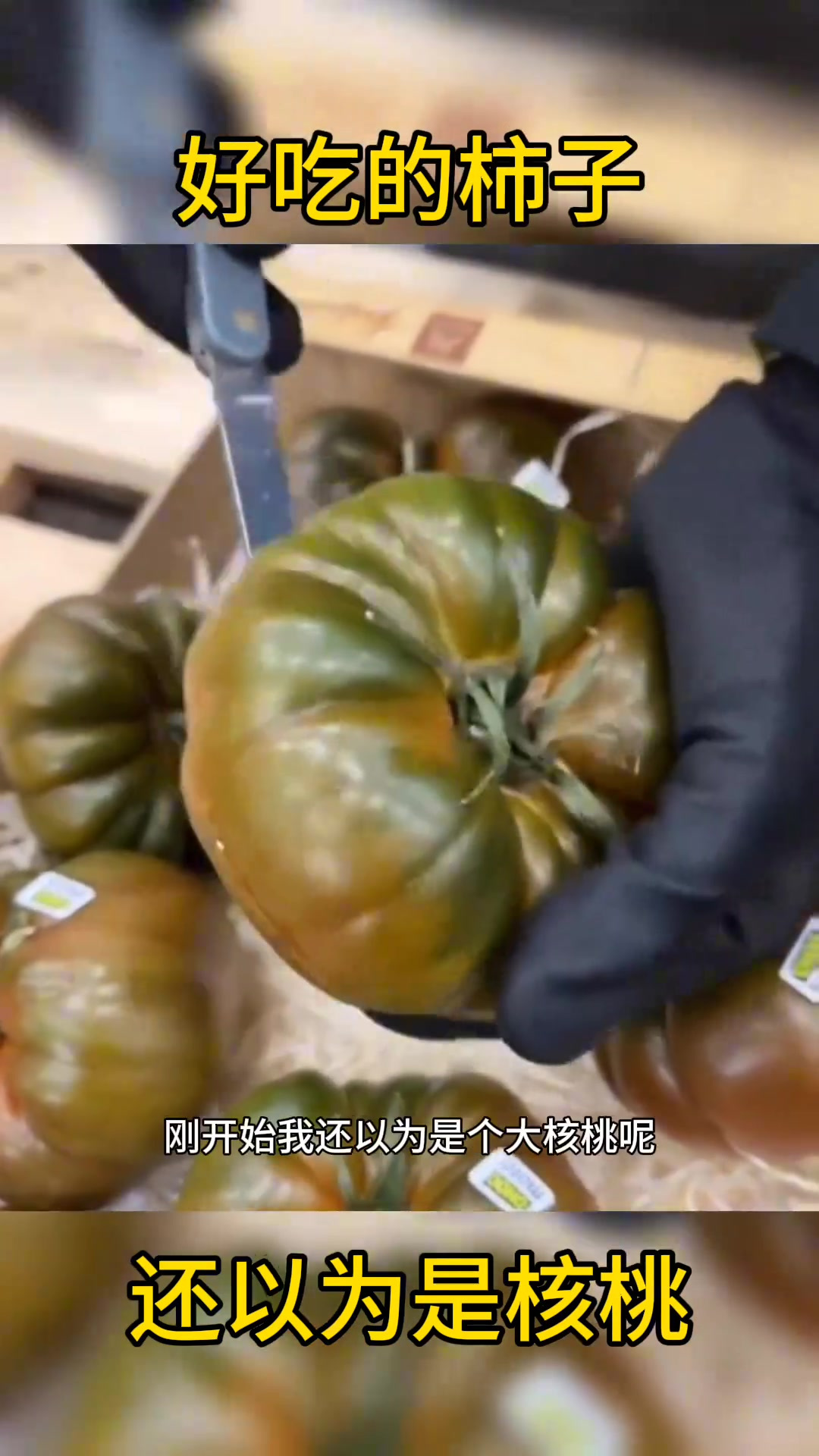 新奇蔬菜品种层出不穷,铁皮柿子究竟是否更甜?