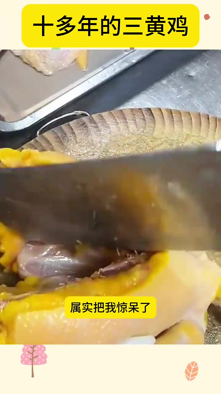 十多年养成的三黄鸡,切开惊艳美味油光闪闪!