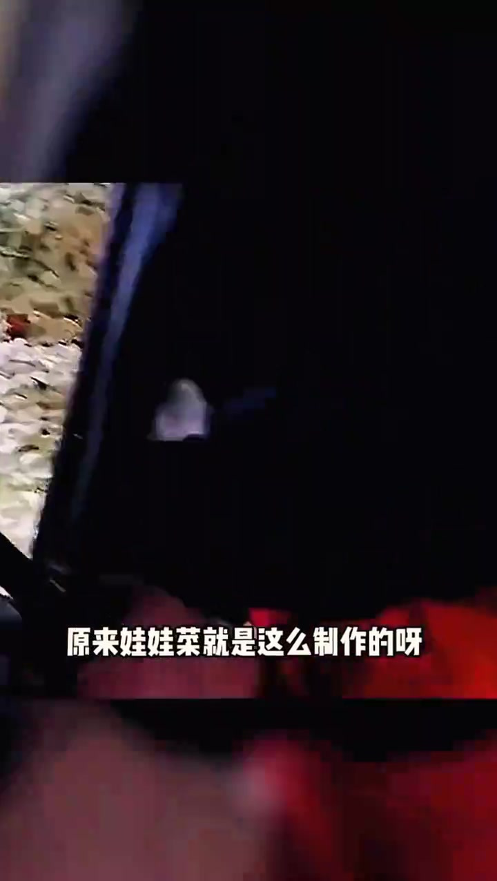 娃娃菜制作过程,长见识了