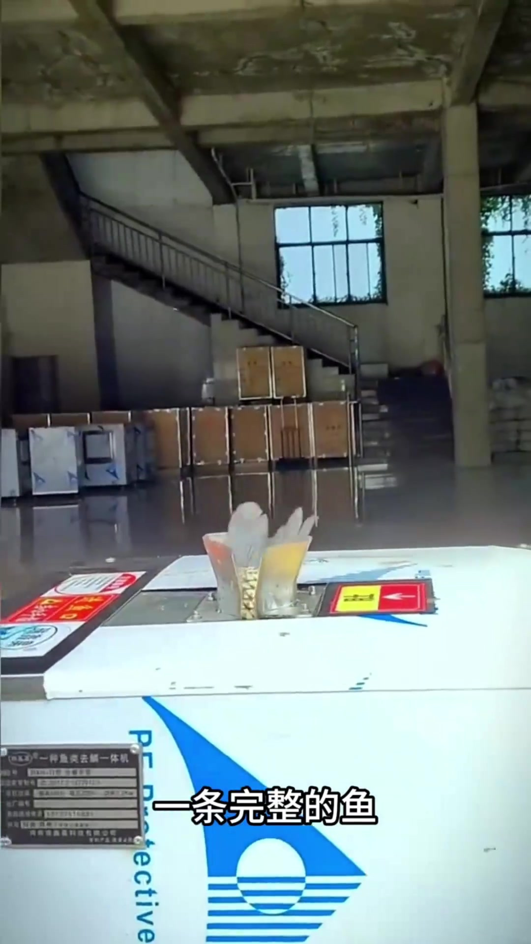 鱼摊老板和烤鱼店要是有这机器该多方便啊