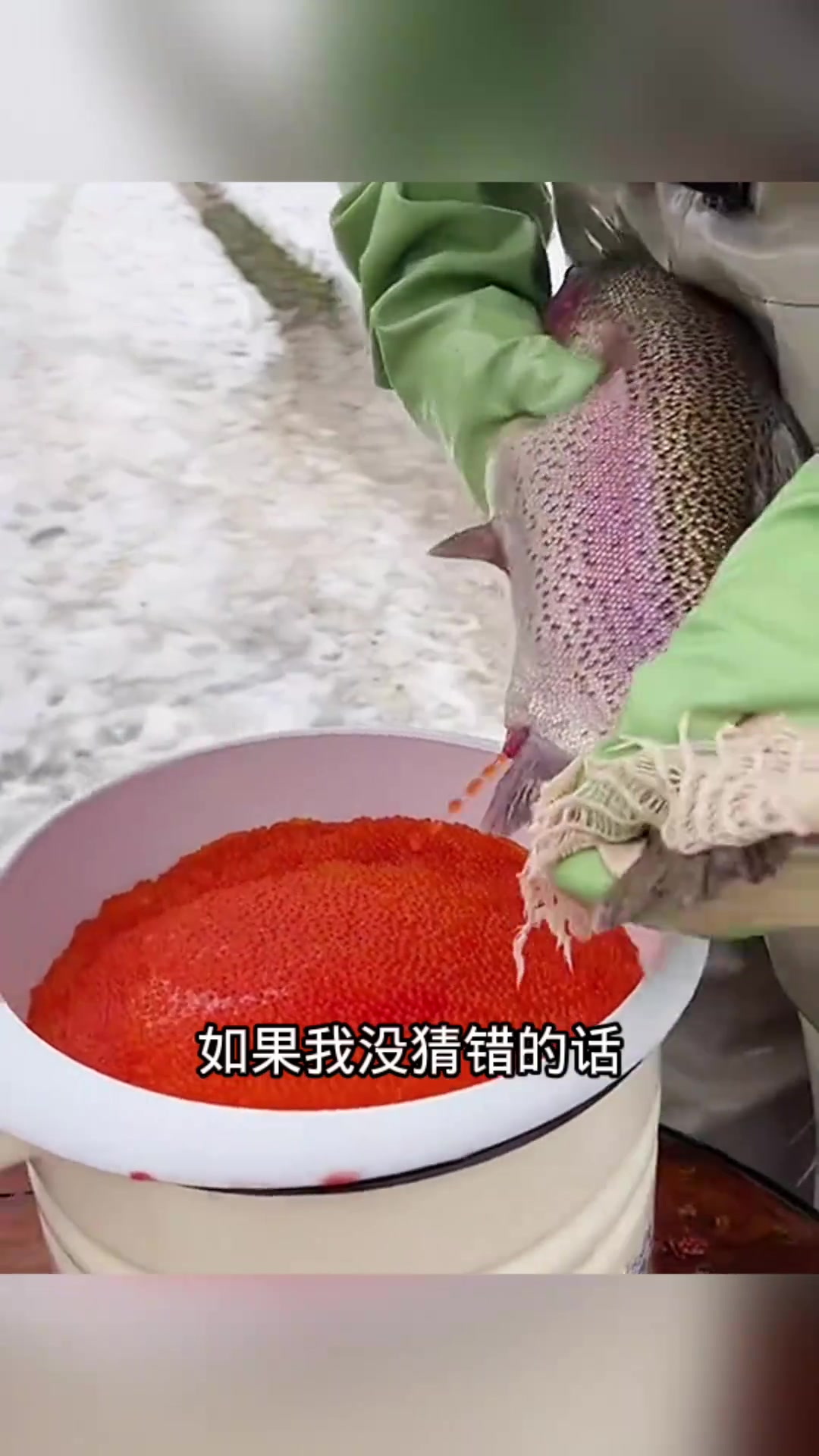 “师傅帮鱼接生,竟挤出如此多鱼籽,能直接吃吗?”