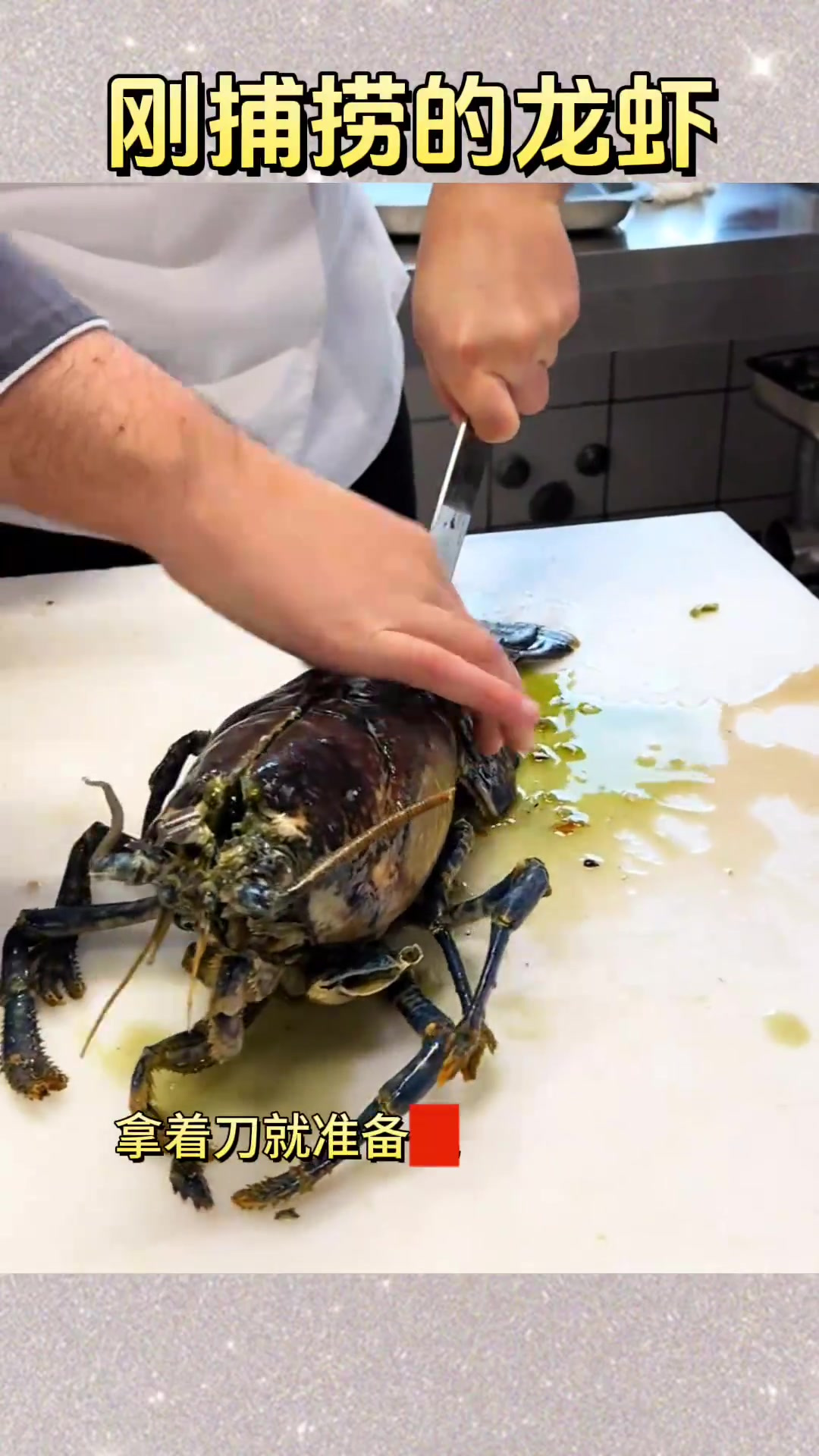 惊现墨绿色大龙虾,家人惊呆了