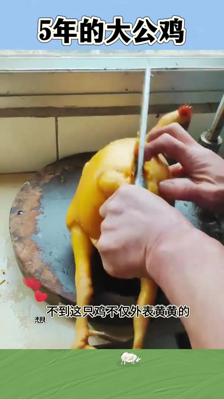 惊艳!奶奶养的大公鸡,外黄内油,正宗三黄鸡令人垂涎欲滴